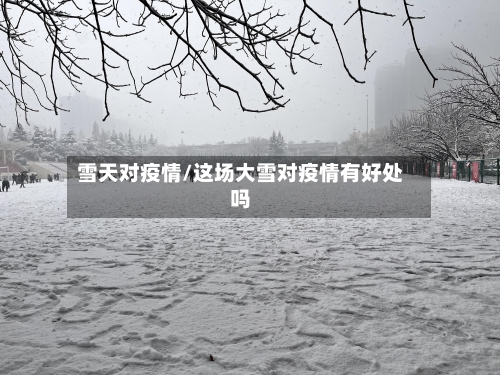 雪天对疫情/这场大雪对疫情有好处吗-第2张图片