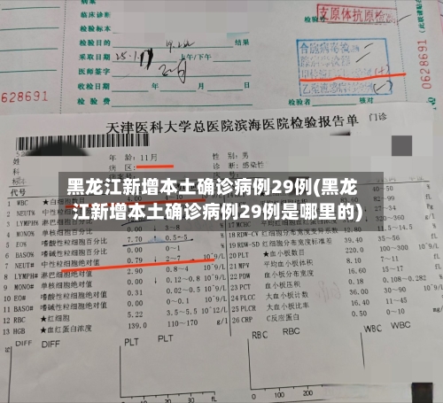 黑龙江新增本土确诊病例29例(黑龙江新增本土确诊病例29例是哪里的)-第1张图片