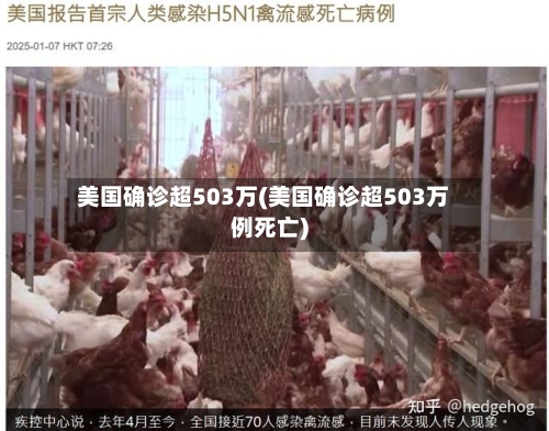 美国确诊超503万(美国确诊超503万例死亡)-第3张图片