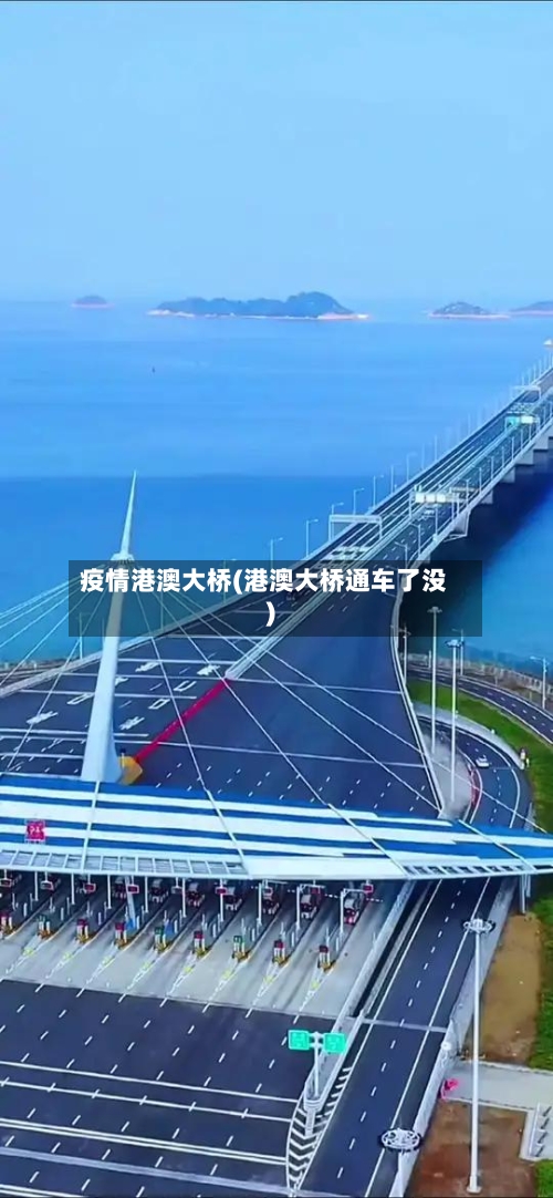 疫情港澳大桥(港澳大桥通车了没)-第3张图片