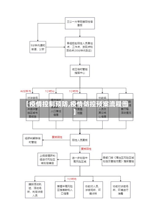 【疫情控制预防,疫情防控预案流程图】-第3张图片