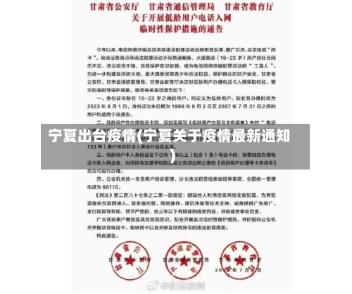 宁夏出台疫情(宁夏关于疫情最新通知)-第3张图片