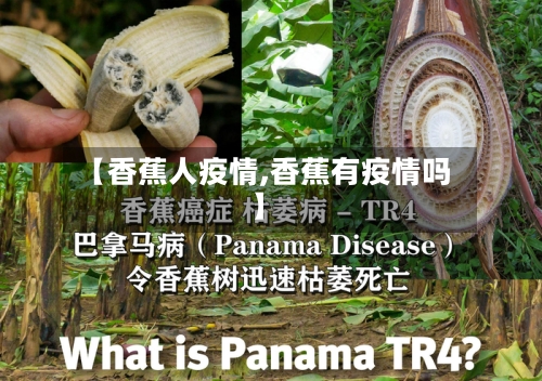 【香蕉人疫情,香蕉有疫情吗】-第1张图片