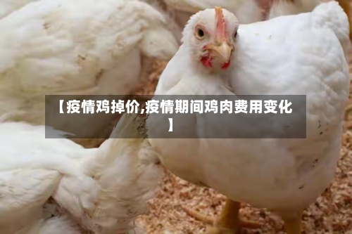 【疫情鸡掉价,疫情期间鸡肉费用变化】-第1张图片