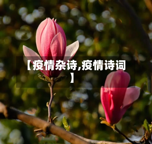 【疫情杂诗,疫情诗词】-第2张图片