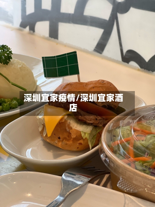 深圳宜家疫情/深圳宜家酒店-第2张图片