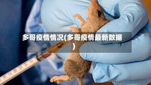 多哥疫情情况(多哥疫情最新数据)-第2张图片