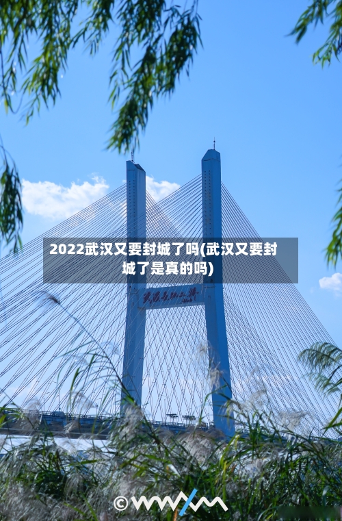 2022武汉又要封城了吗(武汉又要封城了是真的吗)-第2张图片