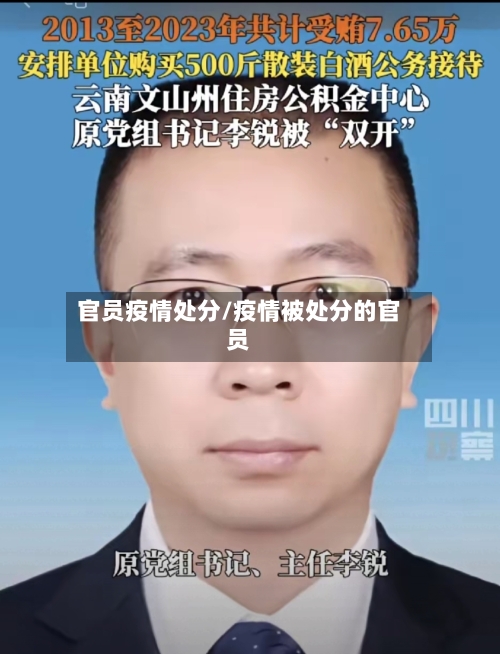 官员疫情处分/疫情被处分的官员-第3张图片