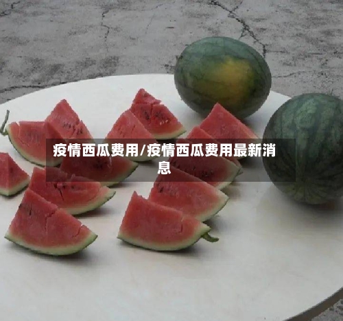 疫情西瓜费用/疫情西瓜费用最新消息-第2张图片