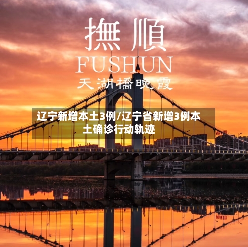 辽宁新增本土3例/辽宁省新增3例本土确诊行动轨迹-第3张图片
