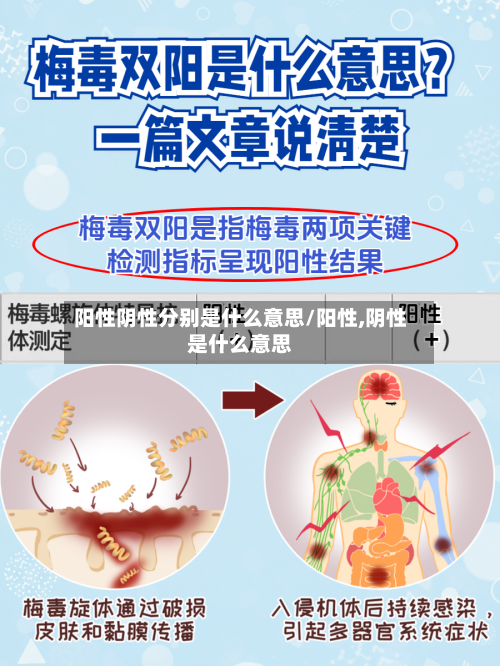 阳性阴性分别是什么意思/阳性,阴性是什么意思-第1张图片