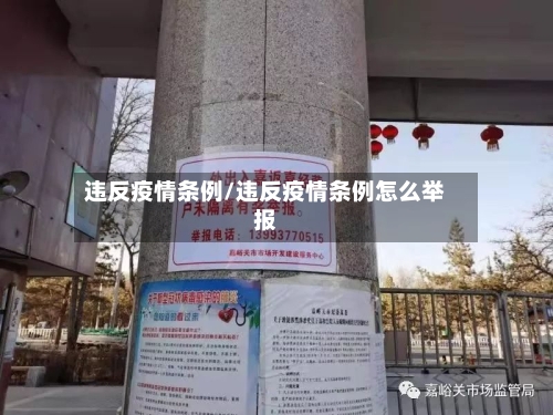 违反疫情条例/违反疫情条例怎么举报-第1张图片