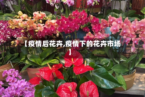 【疫情后花卉,疫情下的花卉市场】-第2张图片