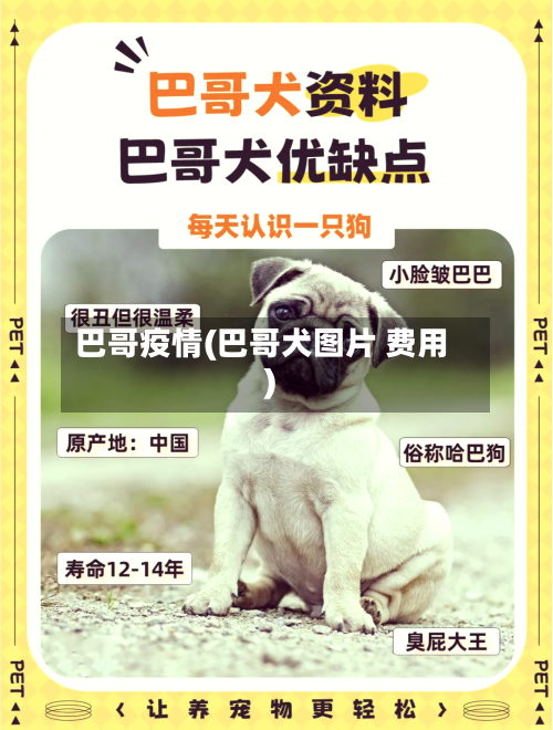 巴哥疫情(巴哥犬图片 费用)-第2张图片