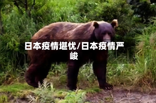 日本疫情堪忧/日本疫情严峻-第2张图片