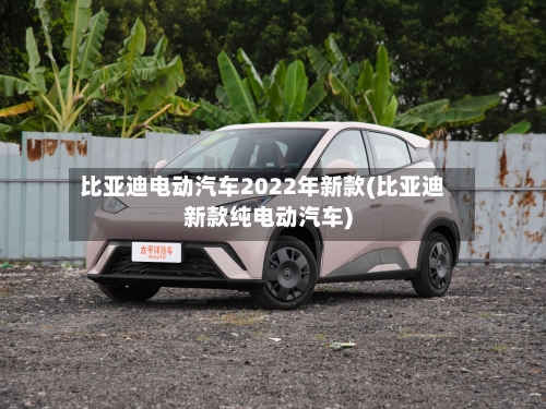 比亚迪电动汽车2022年新款(比亚迪新款纯电动汽车)-第1张图片