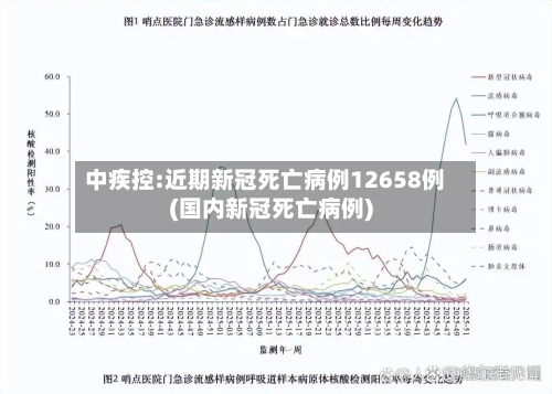 中疾控:近期新冠死亡病例12658例(国内新冠死亡病例)-第2张图片